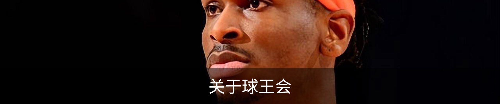 关于球王会